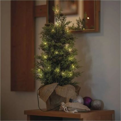 LED Vánoční dekorace 30xLED/3xAA IP44