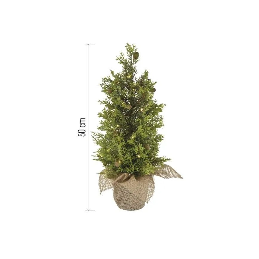 LED Vánoční dekorace 30xLED/3xAA IP44