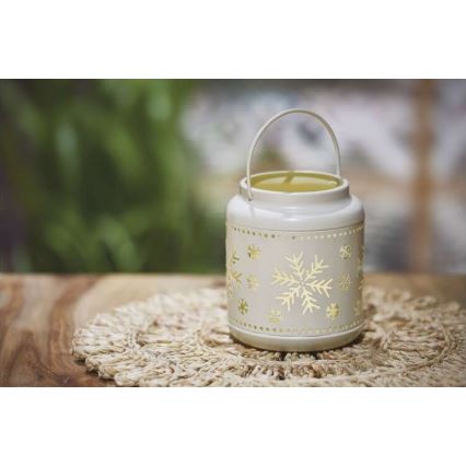 LED Vánoční dekorace LED/3xAAA bílá