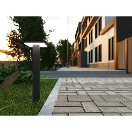 LED Venkovní lampa BARI LED/10W/230V 4000K 60 cm IP54 antracit