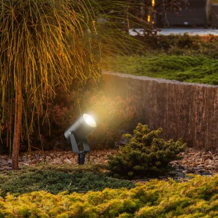 LED Venkovní lampa LED/10W/230V 4000K IP65
