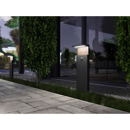 LED Venkovní lampa se senzorem NATURA LED/12W/230V 4000K IP54 hnědá/antracit