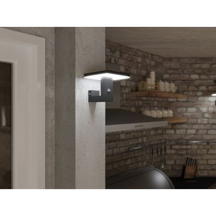 LED Venkovní nástěnné svítidlo BARI LED/10W/230V 4000K IP54 antracit