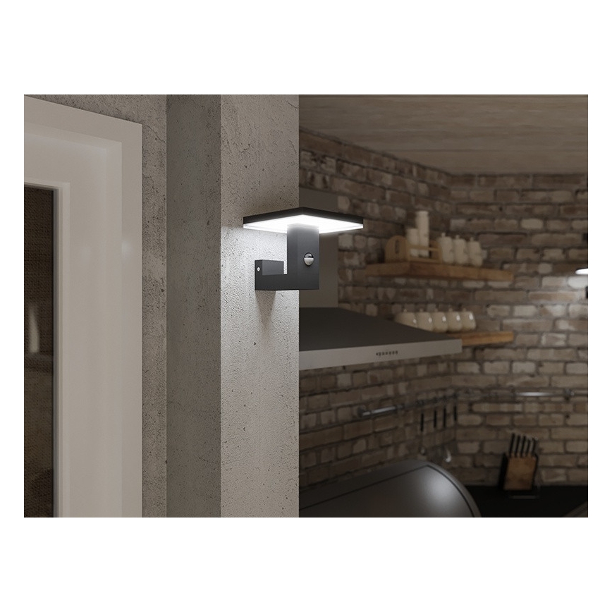 LED Venkovní nástěnné svítidlo BARI LED/10W/230V 4000K IP54 antracit