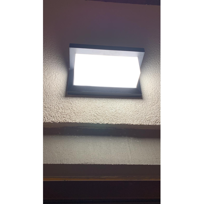 LED Venkovní nástěnné svítidlo LED/12W/230V IP54 černá