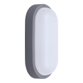 LED Venkovní nástěnné svítidlo LED/20W/230V 4000K IP54 šedá oválný