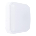 LED Venkovní nástěnné svítidlo LED/20W/230V IP54 