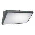 LED Venkovní nástěnné svítidlo LED/20W/230V IP65 šedá