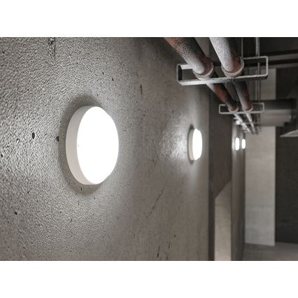 LED Venkovní nástěnné svítidlo LED/9W/230V IP54 bílá