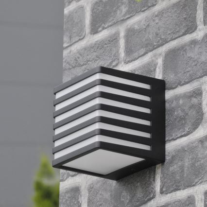 LED Venkovní nástěnné svítidlo MAXWELL LED/10W/230V IP54 grafit