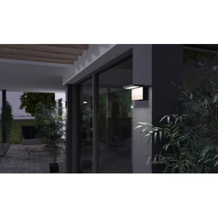 LED Venkovní nástěnné svítidlo NATURA LED/12W/230V 4000K IP65 hnědá/antracit
