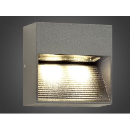 LED Venkovní nástěnné svítidlo NINION LED/2W/230V IP54