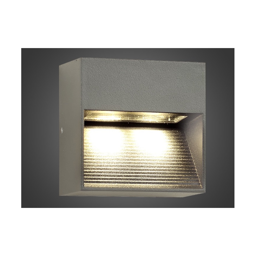 LED Venkovní nástěnné svítidlo NINION LED/2W/230V IP54