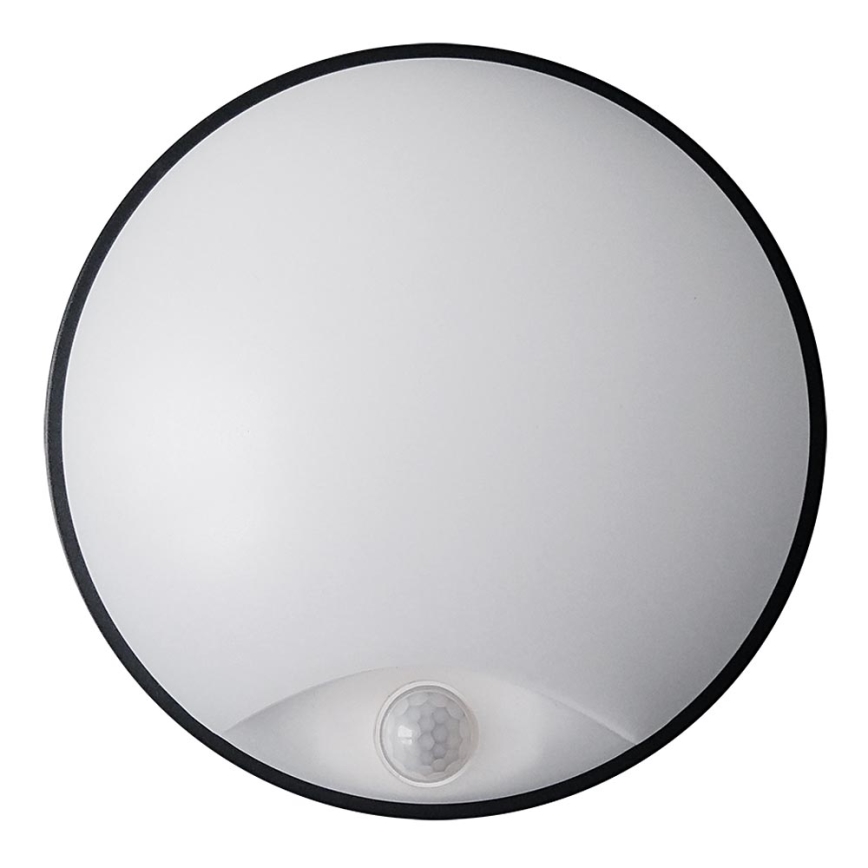 LED Venkovní nástěnné svítidlo se senzorem LED/14W/230V IP54