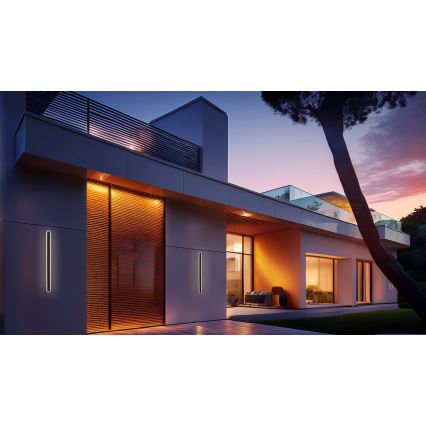 LED Venkovní nástěnné svítidlo STICK LED/12W/230V IP65 3000K 60 cm