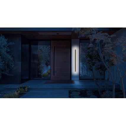 LED Venkovní nástěnné svítidlo STICK LED/12W/230V IP65 3000K 60 cm