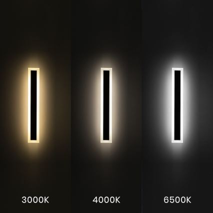 LED Venkovní nástěnné svítidlo WOW LED/20W/230V 3000/4000/6500K 60 cm IP54 černá