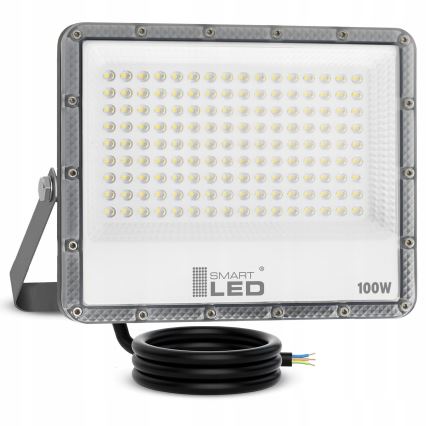 LED Venkovní reflektor LED/100W/230V 4500K IP65 šedá