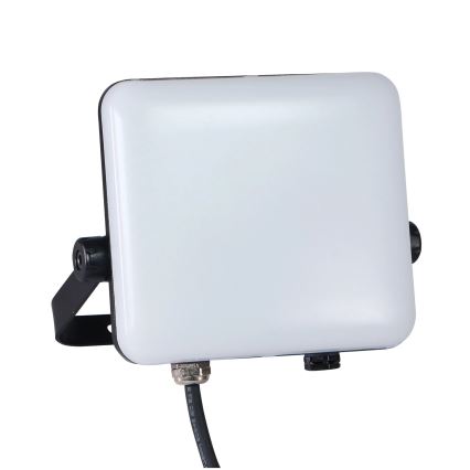 LED Venkovní reflektor MILKY LED/30W/230V 4000K IP65 černá