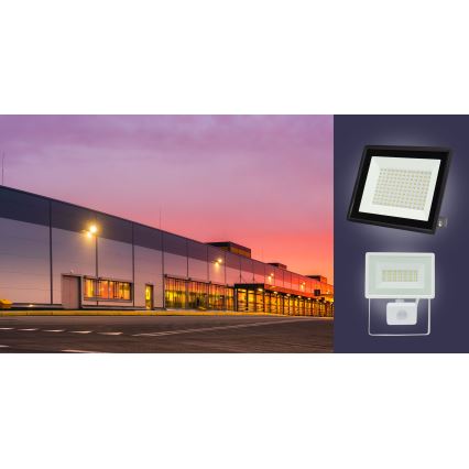 LED Venkovní reflektor NOCTIS LUX 3 LED/50W/230V 6000K IP65 černá