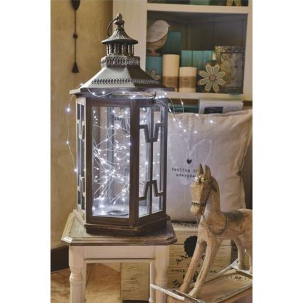 LED  venkovní řetěz 40xLED/9m IP44 studená bílá