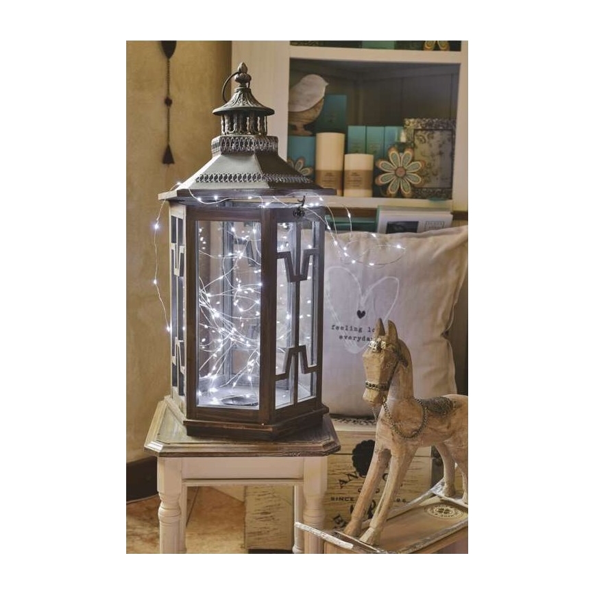 LED  venkovní řetěz 40xLED/9m IP44 studená bílá