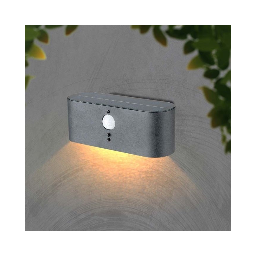 LED Venkovní solární nástěnné svítidlo se senzorem LED/2,5W/3,7V 3000K IP54