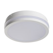 LED Venkovní stropní svítidlo BENO LED/18W/230V 4000K bílá IP54