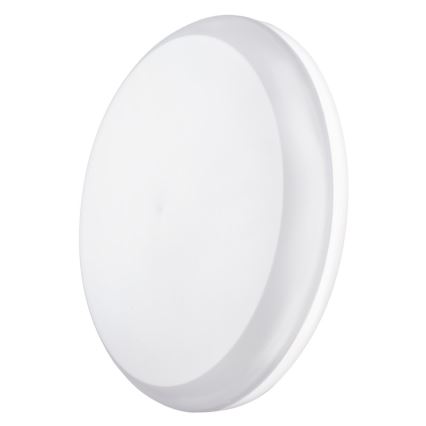 LED Venkovní stropní svítidlo DORI LED/24W/230V IP54 kulaté