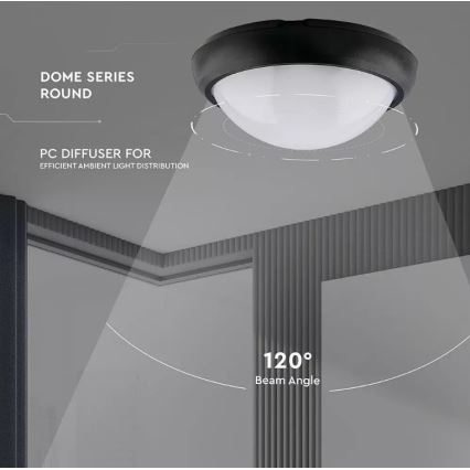 LED Venkovní stropní svítidlo LED/12W/230V IP54