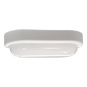 LED Venkovní stropní svítidlo LED/15W/230V 4200K 20x9,8 cm IP64 bílá
