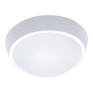 LED Venkovní stropní svítidlo LED/18W/230V  IP65