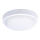LED Venkovní stropní svítidlo LED/20W/230V IP54