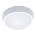 LED Venkovní stropní svítidlo LED/30W/230V  IP65