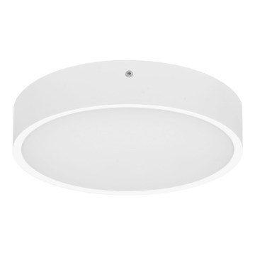 LED Venkovní stropní svítidlo MARTIN LED/15W/230V 3000/4000K pr. 30 cm IP65 bílá