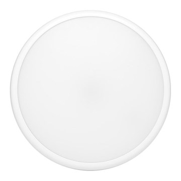 LED Venkovní stropní svítidlo MOVA LED/16W/230V IP65
