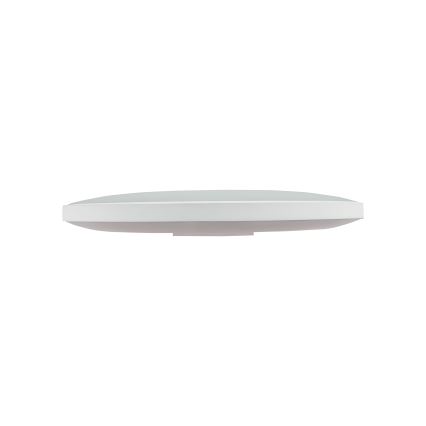 LED Venkovní stropní svítidlo NYMPHEA LED/32W/230V IP54 4000K