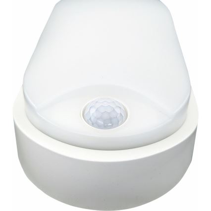 LED Venkovní stropní svítidlo se senzorem LED/14W/230V IP54 bílá