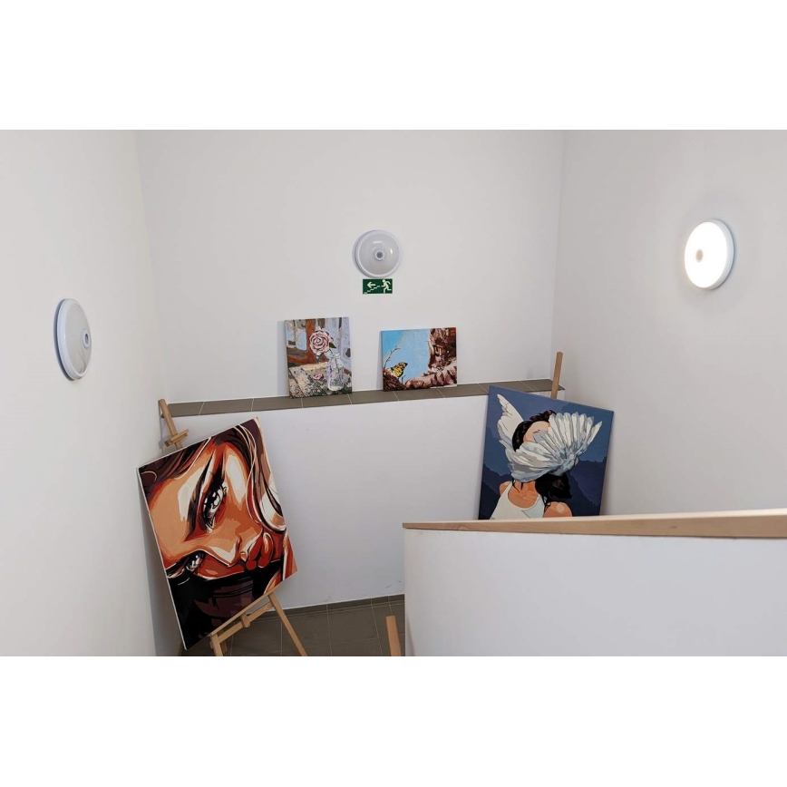 LED Venkovní stropní svítidlo se senzorem pohybu a soumraku LED/16W/230V pr. 28,5 cm IP54 bílá