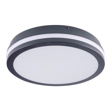 LED Venkovní svítidlo BENO LED/24W/230V 4000K antracit IP54