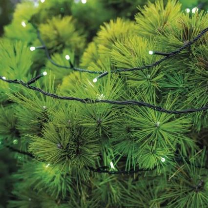 LED Venkovní vánoční řetěz 100xLED/10m IP44 zelená