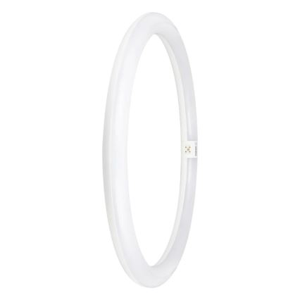 LED Zářivková trubice G10q/24W/230V 4000K - Osram