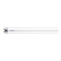 LED Zářivková trubice Philips T8 G13/16W/230V 6500K 120 cm