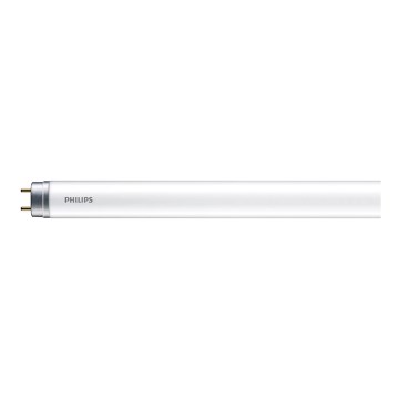 LED Zářivková trubice Philips T8 G13/16W/230V 6500K 120 cm