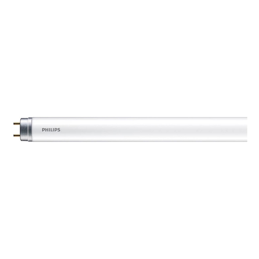 LED Zářivková trubice Philips T8 G13/16W/230V 6500K 120 cm