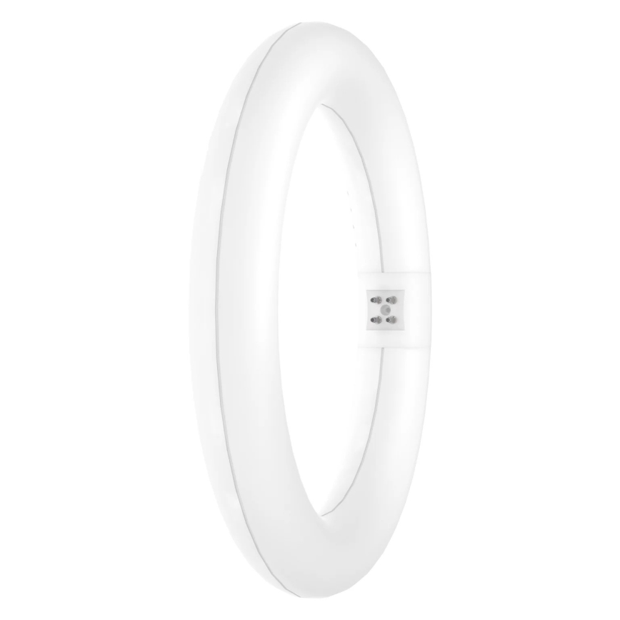 LED Zářivková trubice SUBSTITUBE T9 G10q/12W/230V 4000K pr. 21,2 cm - Osram