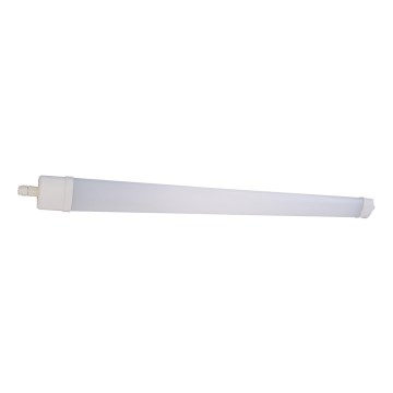 LED Zářivkové svítidlo DAISY LED/40W/230V 4000K IP65