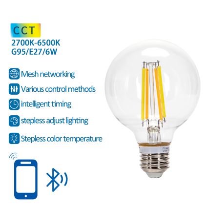 LED Žárovka FILAMENT G95 E27/6W/230V 2700-6500K - Aigostar