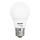 LED Žárovka LEDSTAR ECO A55 E27/7W/230V 4000K