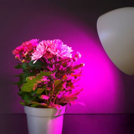 LED Žárovka pro růst rostlin PLANTY E27/11W/230V 1200K bílá
